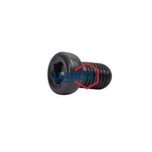 PARAFUSO DISCO DE FRICÇÃO 2″ ALLEN M14-2,00 X 22MA AÇO 8.8 EN