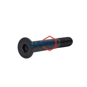 PARAFUSO SAPATA ALLEN CHT M16-2,00 X 110MA ACO 10.9 EN